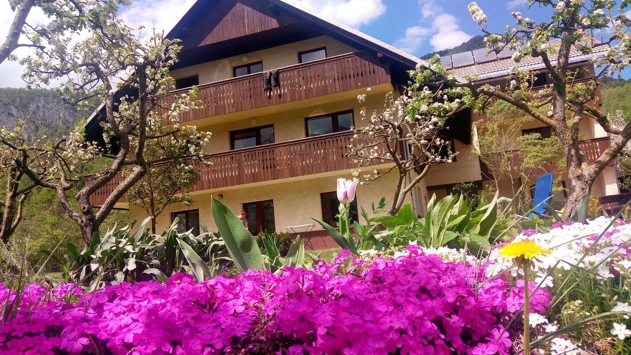 Apartments Arh Bohinj Esterno foto
